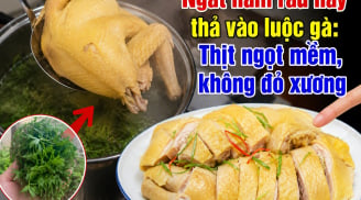 Ngắt nắm rau này thả vào luộc gà: Thịt ngọt mềm, không đỏ xương