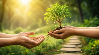 Người càng biết cho đi 5 điều này, về sau càng dễ thành công: Cho đi là được chứ không phải mất