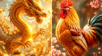 72 giờ sắp tới: 3 con giáp đỏ cả tiền lẫn tình, càng gặp gỡ nhiều người càng thấy cơ hội tới