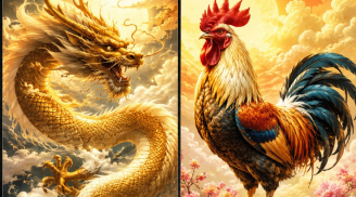 4 con giáp bật lên mạnh mẽ nhất nửa cuối năm Bính Ngọ 2026: Càng về cuối năm càng dễ đón cơ hội lớn