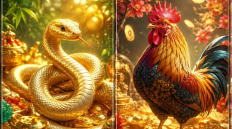 Thứ Tư, Năm (15-16/7): 3 con giáp đón cơ hội bứt tốc, tài lộc khởi sắc, công danh thăng tiến