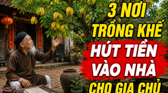 3 nơi trồng khế hút Tiền vào nhà cho gia chủ