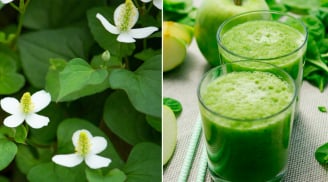 Rau diếp cá trở thành 'ngôi sao' trong mỹ phẩm