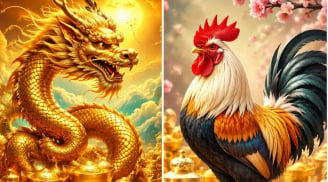 Thứ Sáu, Bảy, Chủ Nhật (17-19/7): 3 con giáp bật mạnh bất ngờ, tài lộc tăng tốc, tiền về đầy túi