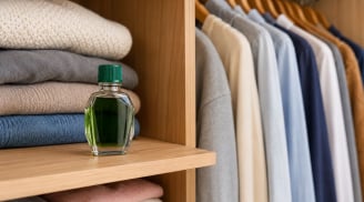 Vì sao nên để một lọ dầu gió gần hết trong tủ quần áo? Hóa ra mẹo thông minh