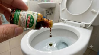 Nhỏ dầu gió vào bồn cầu: Mẹo vặt 'thần thánh' giải quyết ngay nỗi kinh hoàng trong nhà vệ sinh