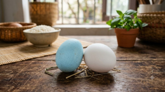 Đi chợ mua trứng vịt: Nên chọn quả vỏ xanh hay vỏ trắng mới là người sành ăn?