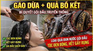 Loại quả đun nước gội đầu tóc đen bóng, hết gãy rụng