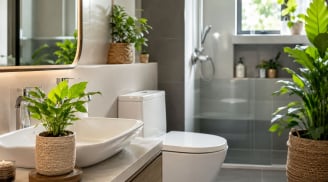 Vì sao nên đặt một chậu cây nhỏ trong nhà tắm, nhà vệ sinh?