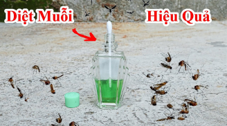 10 cách đuổi muỗi đơn giản, nhà sạch bóng không còn tiếng vo ve
