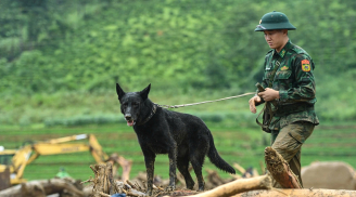 'Chiến binh' bốn chân Zavo: Chú chó nghiệp vụ bền bỉ trên những hành trình tìm kiếm sự sống