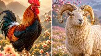 Thứ Ba, Tư, Năm (21-23/7): 2 con giáp coi chừng sơ sểnh mà thiệt hại lớn, 1 tuổi cần giữ chặt ví tiền