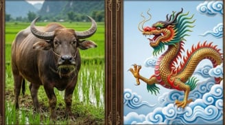 3 con giáp đường công danh sau trung niên mới rộng mở: Càng kiên nhẫn càng dễ hái quả ngọt