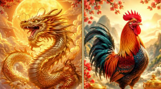 3 tháng hoàng kim bùng nổ 8, 9, 10: 3 con giáp tài lộc đầy tay, cơ hội kiếm tiền liên tiếp gõ cửa