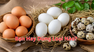 Trứng gà, trứng vịt hay trứng cút: Loại nào đáng ăn hơn?
