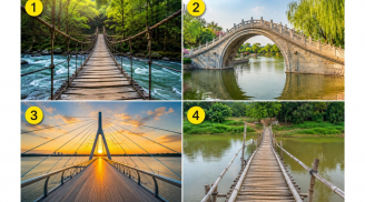 Chọn 1 cây cầu bạn sẽ bước qua – Cách bạn đối diện khó khăn tiết lộ điều gì về con người bạn?
