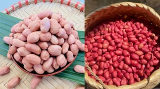 Lạc trắng và lạc đỏ: Nên mua loại nào?