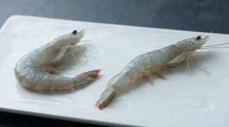 Chọn tôm nên chọn tôm cong hay thẳng?