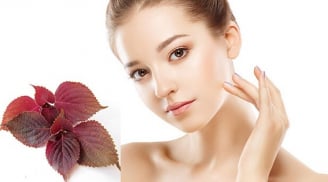 3 cách làm đẹp da với lá tía tô tại nhà giúp da sạch khỏe và mềm mịn hơn