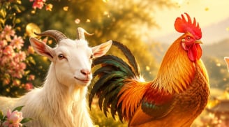 Lộc bà cô ông mãnh: 3 con giáp sắp có lộc bất ngờ, càng khiêm nhường càng dễ đón vận may
