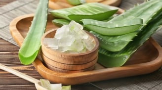 Công thức gel dưỡng từ nha đam và húng quế hỗ trợ chăm sóc da mụn tại nhà