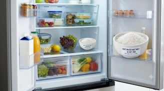 Vì sao các bà nội trợ thông minh luôn đặt 1 bát muối vào tủ lạnh?