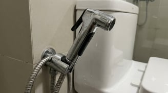 Tại sao đi vệ sinh xong nên dùng vòi xịt thay vì giấy vệ sinh?