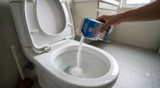 Lý do nhiều người truyền tai nhau đổ muối vào bồn cầu bị tắc nghẽn