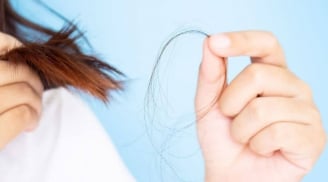 Mỗi sáng thức dậy tóc rụng đầy gối? 4 thói quen trước giờ ngủ có thể là nguyên nhân