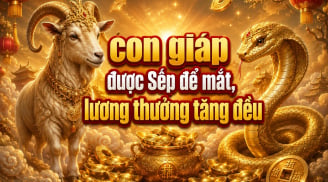 4 con giáp được Sếp để mắt, lương thưởng tăng đều từ 3/8 đến 15/8