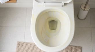 Mẹo tẩy sạch vết ố vàng cứng đầu trên bồn cầu