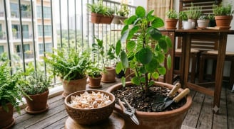 Nhiều người cho vỏ tỏi vào chậu cây và bất ngờ vì hiệu quả sau vài ngày