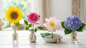 Chọn một bông hoa bạn thích nhất, xem điều gì sắp đến với bạn trong tháng 8