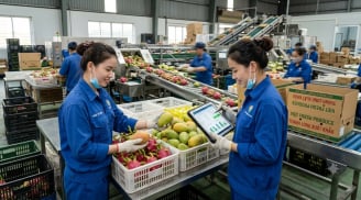 Ngành học được dự báo 'khát' nhân lực trong 10 năm tới: Ra trường dễ xin việc, nhiều doanh nghiệp săn đón