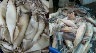 Thấy mực có 5 dấu hiệu này, tuyệt đối không mua