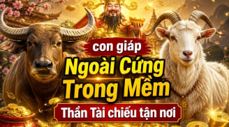 4 con giáp Ngoài Cứng Trong Mềm, Thần Tài chiếu tận nơi