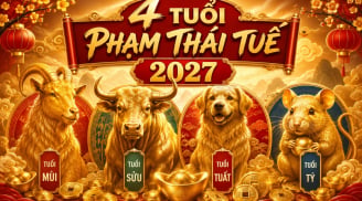 4 con giáp phạm Thái Tuế năm 2027: Cẩn thận tiền mất tật mang