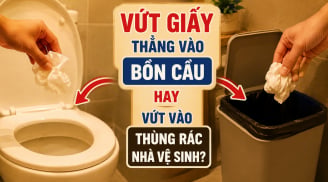 Vứt giấy thẳng vào bồn cầu hay vứt vào thùng rác nhà vệ sinh?