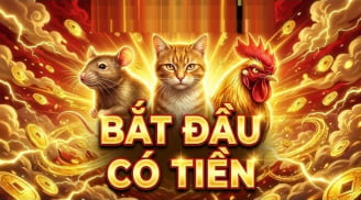 4 tuổi lộc tứ phương đổ về, kinh doanh đại phát