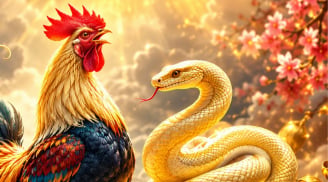 72 giờ vàng sắp tới: 2 con giáp khôn khéo dễ trúng lớn, 1 tuổi cónguồn thu phụ bất ngờ