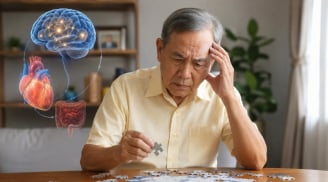 Suy giảm trí nhớ bắt nguồn từ tim mạch, đường ruột hay não bộ?