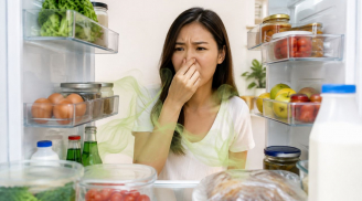 Vì sao tủ lạnh nhìn thì sạch mà vẫn có mùi hôi?