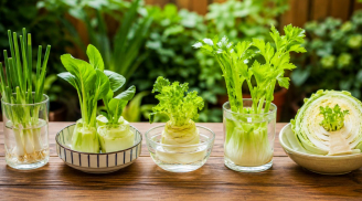 5 loại rau có thể trồng lại từ phần gốc bỏ đi, không cần mua giống