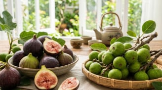 Ăn quả sung Mỹ hay quả sung Việt tốt hơn?