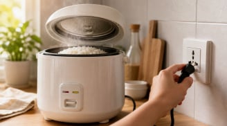 Có nên rút phích cắm nồi cơm điện ngay sau khi nấu?