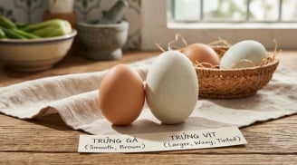 Trứng gà hay trứng vịt tốt hơn? So sánh bất ngờ giúp bạn chọn đúng loại cho gia đình