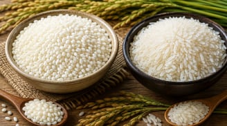 Gạo nếp có giàu dinh dưỡng hơn gạo tẻ không?