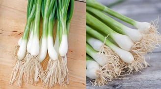 Phần rễ hành lá không phải đồ bỏ đi, giữ lại có lợi ích đặc biệt