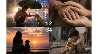 Chọn 1 hình ảnh khiến bạn xúc động nhất: Bạn có phải người dễ mềm lòng?