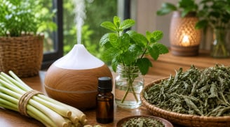 Mẹo đuổi muỗi không cần hóa chất